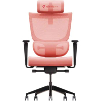 Ergonomic Office Chair - Adjustable Backrest Desk Chair, Lumbar Support, Headrest, 5D Armrests
