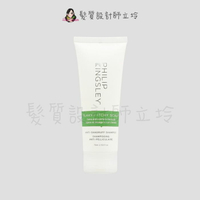 立坽『頭皮調理洗髮精』婕曦實業公司貨 Philip Kingsley 淨效平衡髮浴(綠)75ml HS04