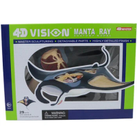 4d Animal Anatomical Model Manta Ray Anatomy Skeleton DIY Gift Children Sea Fish Museum Tool Educational Model veterinary
