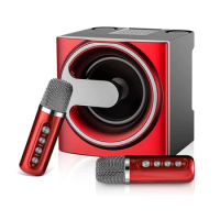 Karaoke Machine, Mini Karaoke System with 2 Microphones , Stereo Speaker Support Blueteeth AUX USB TF for Party Meeting