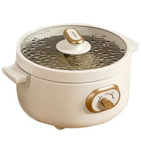 220V/1000W Integrated Household Electric Hot Pot ZG-YD217 Multifunctional Rice Cooker 3L Portable Desktop Electric Cooker