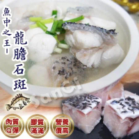 【賣魚的家】新鮮台灣龍膽石斑魚塊 (300G±3%/包)-共7包組