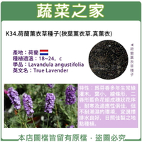 【蔬菜之家】K34.荷蘭薰衣草種子(狹葉薰衣草.真薰衣)(共有2種包裝可選)