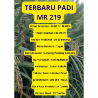 Bibit Benih Padi MR-219 ORIGINAL Kemasan 1 Kg