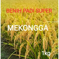 Benih padi unggul-MEKONGGA (1kg) panen padi maksimal