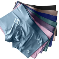 Men's Panties Men Underwear Ice Silk Boxers Seamless Sexy Man Ultra-thin Breathable Underpants Elastic Men's Boxershort L-4XL
