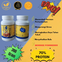 300 Gram WOW Protein 70% Suplemen Kucing segala Ras