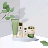 IB Whiting Skincare set Tonar /Serum /Soothing Gel /Cream and Facial Faom