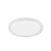 【Everlight 億光】LED 星玉 55W 壁切三色調色 全電壓 吸頂燈