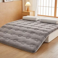 2025新款羊毛床褥學生宿舍單人羊毛軟硬適中床褥榻榻米加厚床褥子