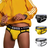 Brand Men Underwear Mesh Qucik-Dry Sexy Men Briefs Breathable Mens Slip Cueca Male Panties Underpants Briefs 3 colors BS107