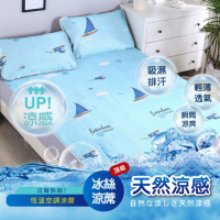 DaoDi全新頂級超涼爽冰絲涼蓆 尺寸雙人加大床墊x1+枕套x2/組多款任選