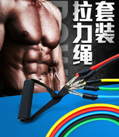 ~廣隆~拉力器11件套 健身 乳膠拉力繩 多功能訓練器 拉力器套裝 彈力繩 彈力帶 臂力胸肌力量訓練