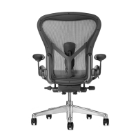 Herman Miller Aeron 2.0 人體工學椅 全功能 拋光金屬腳座 鋁合金材質 石墨黑 DW扶手 A size(平行輸入)