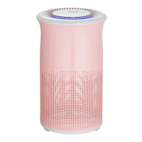 air purifier with true HEPA filter