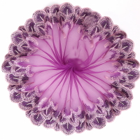 蕾絲花邊網紗刺繡裙擺衣邊床邊手工制作輔料窗簾花邊