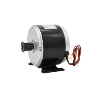 MY1016 250W 300W 12V 24V brushed motor , brush motor electric tricycle bicycles skateboards , DC gear brushed motor