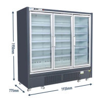 Supermarket built-in upright display freezer for frozen fish or meat