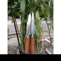 pisaudapur/pisau daging/pisau iris daging