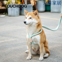 它它賽級訓狗狗專用p鏈馴犬繩幼犬p字鏈牽引中大型犬寵物功能繩子