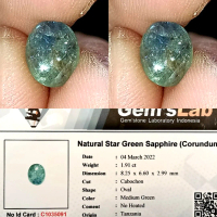 Natural Green Star Sapphire Tanzania 1.91ct NTE 8.2x6.6mm