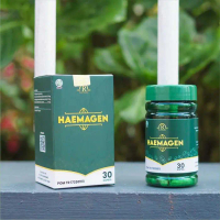 HAEMAGEN Obat Herbal Gatal Gatal Terbaik Rekomendasi Docter Isi 30 Kapsul