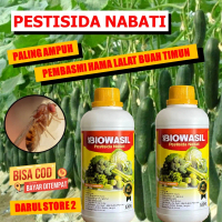 Pupuk Pelengkap Hama Lalat Sayuran Timun Lalap BIOWASIL - Atasi Hama Lalat Buah Timun Lalap