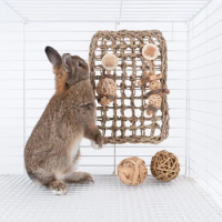 Rabbit Totoro Guinea Pig Cage Anti-Grass Mat Applewood Safety Bite Toy