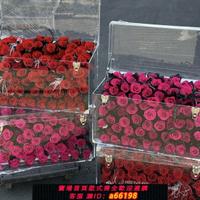 【台灣公司 可開發票】情人節禮物永生花玫瑰巨型行李箱花盒擺件弗洛伊德送女生告白生日
