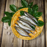 【江醫師健康鋪子】柳葉魚12包(250g/包)