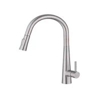 High Arc Kitchen Faucet Brushed Nickel Pull Out Sprayer SUS304 Stainless Steel Contemporary Design Dual-Mode Stream/Spray