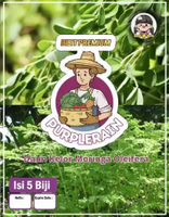 Bibit Premiun Daun Kelor Moringa Oleifera | Benih Daun Kelor Moringa Oleifera | Daun Kelor