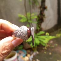 Akik badar besi merah kebumen dim harian
