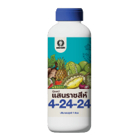 แสน 4-24-24 ปุ๋ยน้ำทางใบ ใบเขียว สร้างตาดอก ติดลูกดก