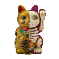 4D Gold Fortune Cat Perspective Bone Anatomy Model Lucky Cat for Home Office and Car Decor Gift