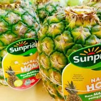 Nanas Honi Sunpride Jumbo Jumbo