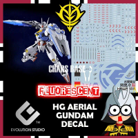 EVO DECAL HG AERIAL  DECAL FLUORESCENT DECAL
