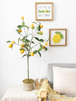 仿真綠植盆栽室內假檸檬樹ins客廳落地擺件裝飾北歐假花植物 HM