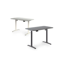 【Backbone】Allround Desk 電動升降桌(自行組裝)