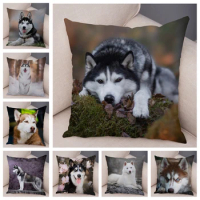 Cute Siberian Husky Pet Animal Cushion Cover for Sofa Car Decor Dog Printed Pillowcase Super Soft Short Plush Pillow Case 45*45