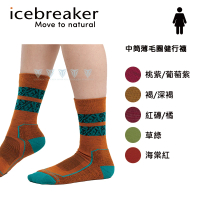 【Icebreaker】女 中筒薄毛圈健行襪 IB0A56GO(羊毛/踝襪/美麗諾羊毛/輕薄)
