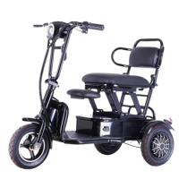 3 Wheel Electric Scooter For Old People 10 Inch 350W Mini Protable Folding Electric Tricycle For Senior Mobility Scooter