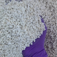 Perlite (เพอร์ไลท์) 1 กิโลกรัม