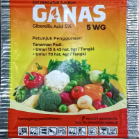 GANAS Giberelin,  ZPT tanaman padi,  bunga anggrek, zat pengatur tumbuh tanaman,  nutrisi tanaman