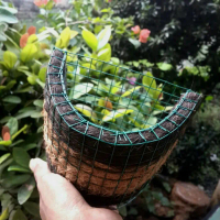 pot anggrek tempel sabut kelapa kombinasi