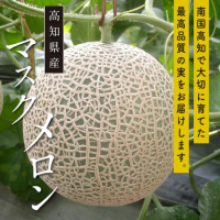 【果之蔬】日本高知縣溫室綠哈密瓜(原裝1顆入/約1.5kg)