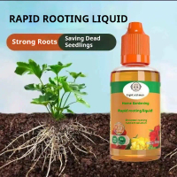 Fast Rooting Solution Home Gardening Rapid Rooting Liquid Succulent Nutrient Solution Universal Flow