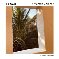 【停看聽音響唱片】【黑膠LP】DJ Cam：Tropical Gypsy