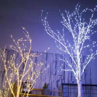 【2023新款】LED樹燈 節慶裝飾燈滿天星暖光白光仿真白樺樹燈定時遙控多模式