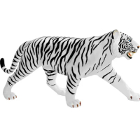 4D Master White Tiger Animal Anatomy Model Detachable DIY Toy Assembled Skeleton Model Medical Educational Equipment Tool